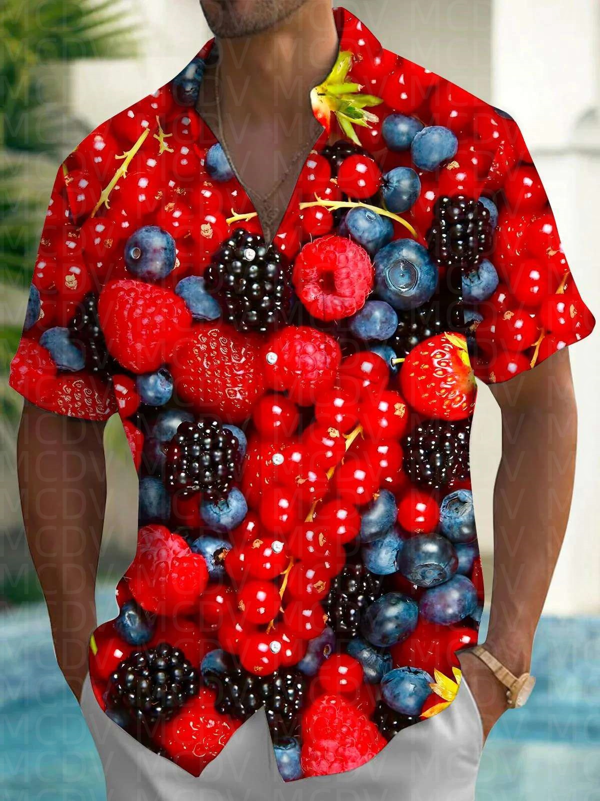 Cute Pattern Men's Hawaiian Sh - Shirt Camp Collar 评论和价格