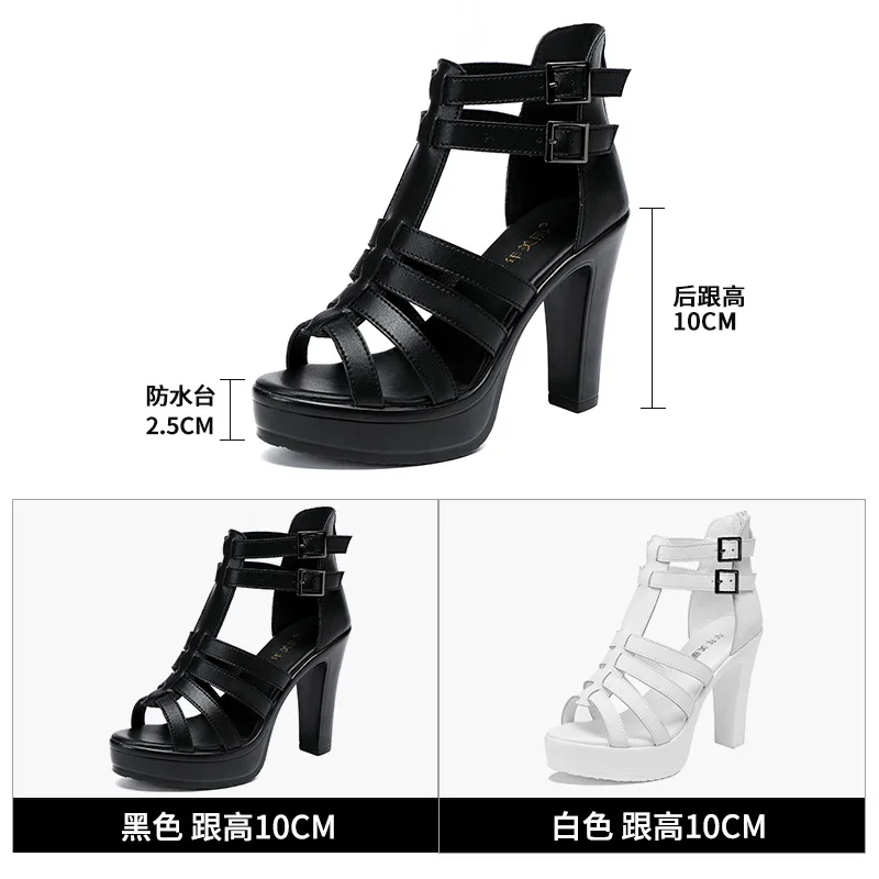 Gladiator Ladies Shoe for Wome - Casual Sandal Leather 评论和价格